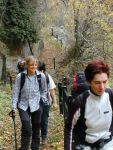 GITA MONTAGNA, 1 novembre 