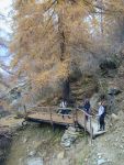 GITA MONTAGNA, 1 novembre 