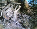 Traversata delle 3 valli Val d'Aosta, Esplorazione anno 2006