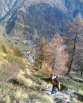 Traversata delle 3 valli Val d'Aosta, Esplorazione anno 2006