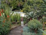 Madeira, Viaggio Esplorativo