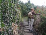 Madeira, Viaggio Esplorativo