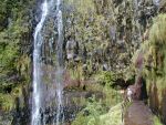 Madeira, Viaggio Esplorativo