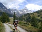 Ferragosto fra la neve, le vipere e le Grolle d'Oro, Agosto