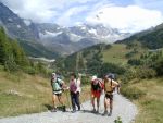 Ferragosto fra la neve, le vipere e le Grolle d'Oro, Agosto