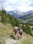 Ferragosto fra la neve, le vipere e le Grolle d'Oro, Agosto